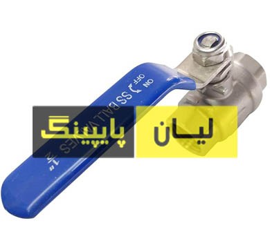 شیر گازی استنلس استیل 1000 وگ ساکت ولد دو تیکه استنلس استیل 316 اروپایی