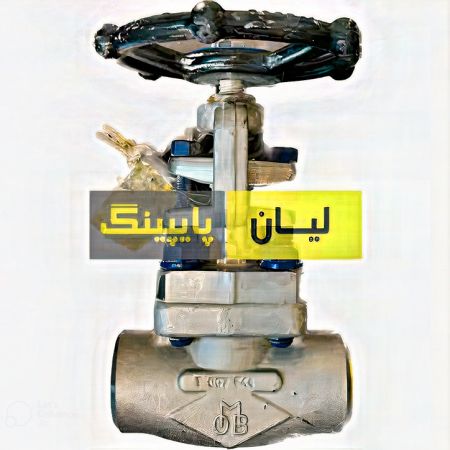 گلاب ولو استنلس استیل 316 کلاس 800 ساکت ولد اروپایی	