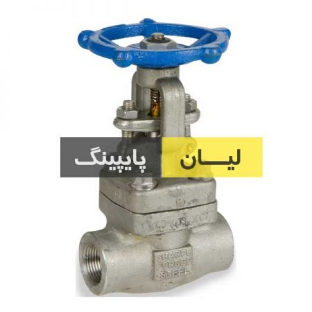 شیر فلکه کشویی استنلس استیل 316 ساکت ولد کلاس 800 اروپایی