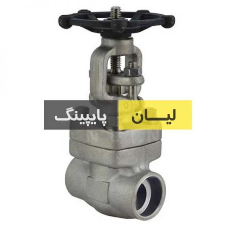 گلاب ولو استنلس استیل 304 کلاس 800 ساکت ولد اروپایی