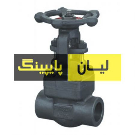 گلاب ولو استنلس استیل 304 کلاس 800 دنده اروپایی