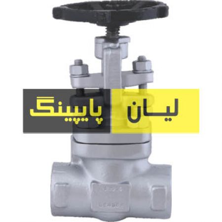 گلاب ولو استنلس استیل 304 کلاس 800 دنده اروپایی