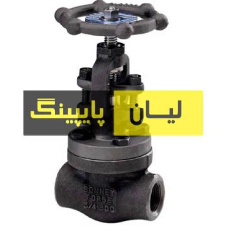 گلاب ولو استنلس استیل 304 کلاس 800 دنده اروپایی