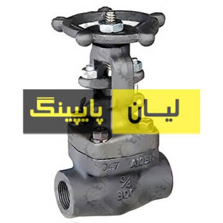 گلاب ولو استنلس استیل 316 کلاس 800 ساکت ولد اروپایی	