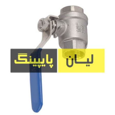 شیر گازی استنلس استیل 1000 وگ ساکت ولد دو تیکه استنلس استیل 316 اروپایی