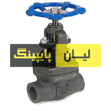 شیر فلكه سوزنی فولادی ساکت ولد کلاس 800